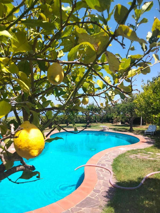 Casa Morello Zambrone Bagian luar foto