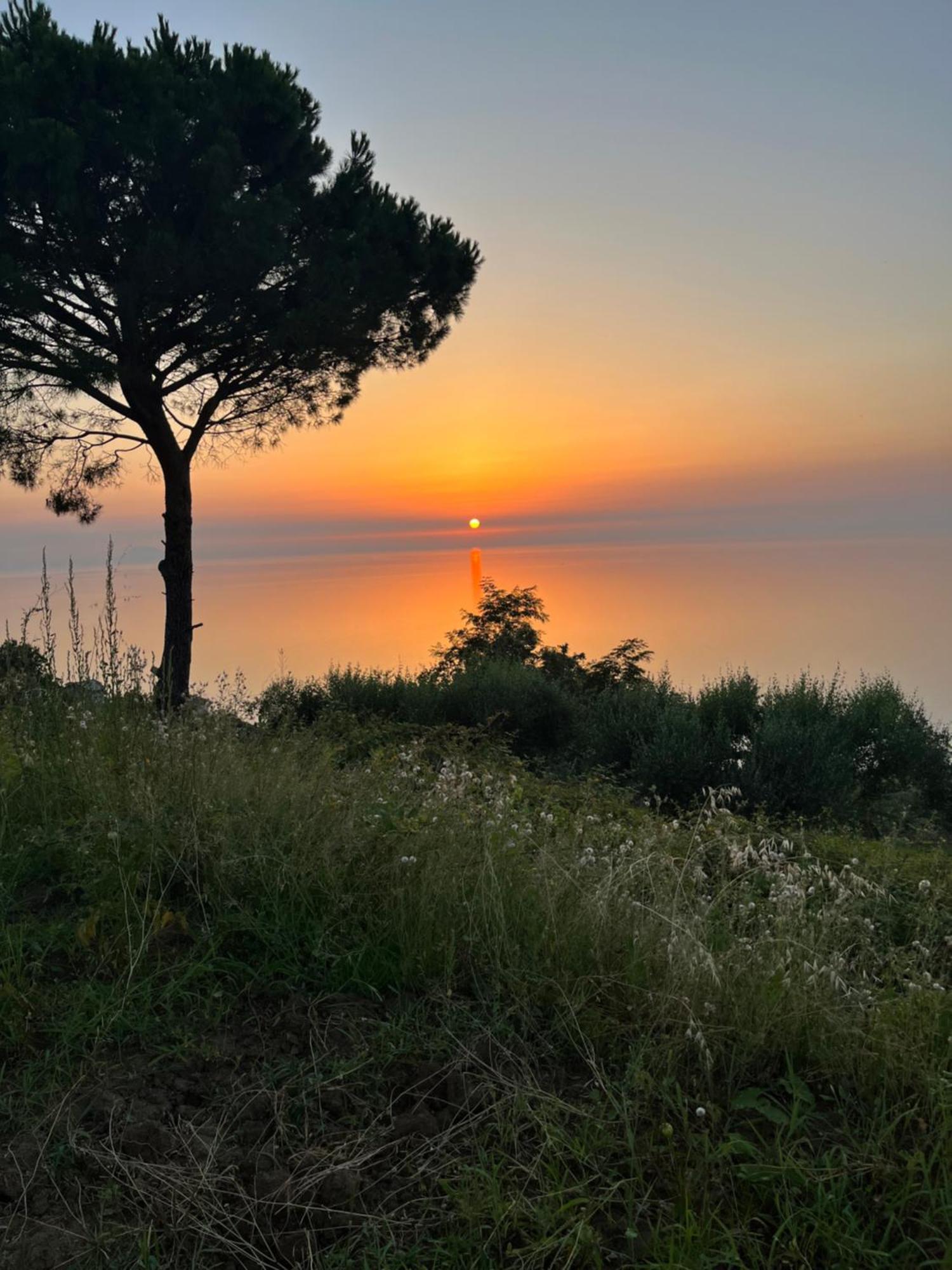 Casa Morello Zambrone Bagian luar foto
